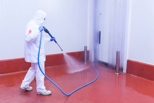 Best Fence Cleaning and Maintenance in Millbrae, CA